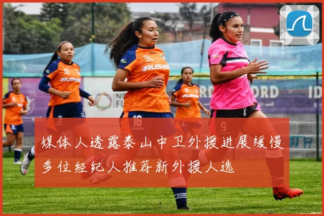 媒体人透露泰山中卫外援进展缓慢多位经纪人推荐新外援人选